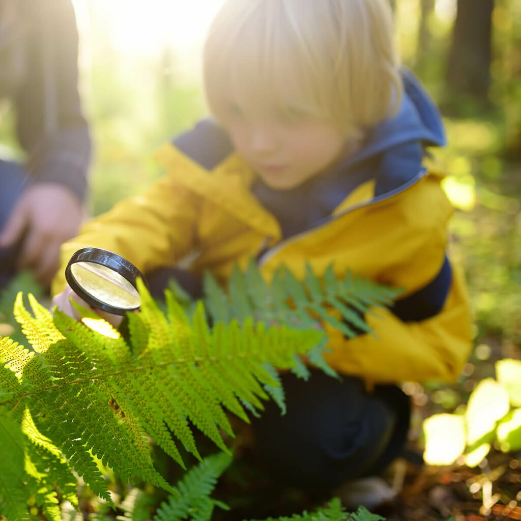 Verbreding & verdieping